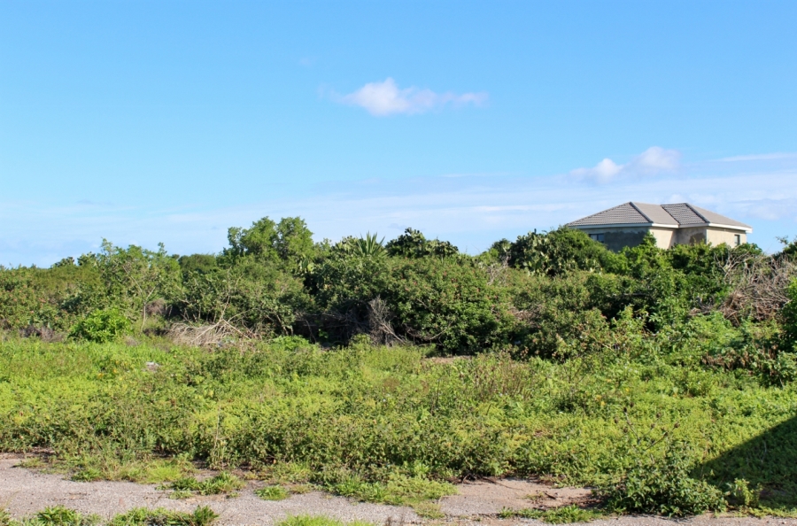 0 Bedroom Property for Sale in Forest Downs Eastern Cape